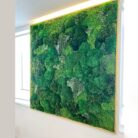 Gold framed moss artwork viewed installed near a window