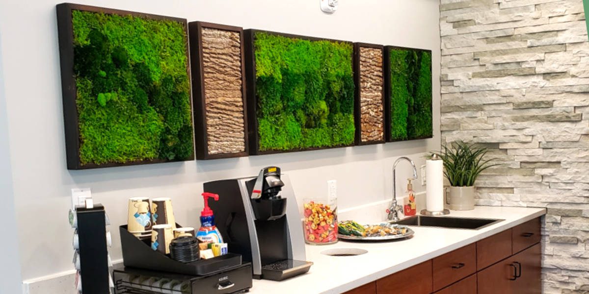 moss and bark artwork in a kitchen