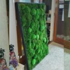 36x54 moss artwork