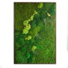 36x54 moss artwork