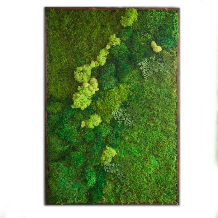 36x54 moss artwork