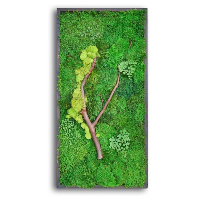 18x36 moss artwork with manzanita