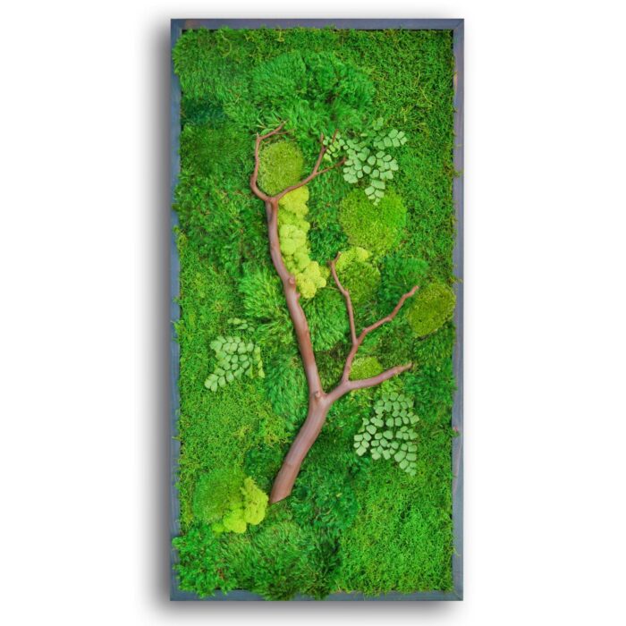 18x36 moss artwork with manzanita