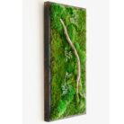 18x36 moss artwork with driftwood