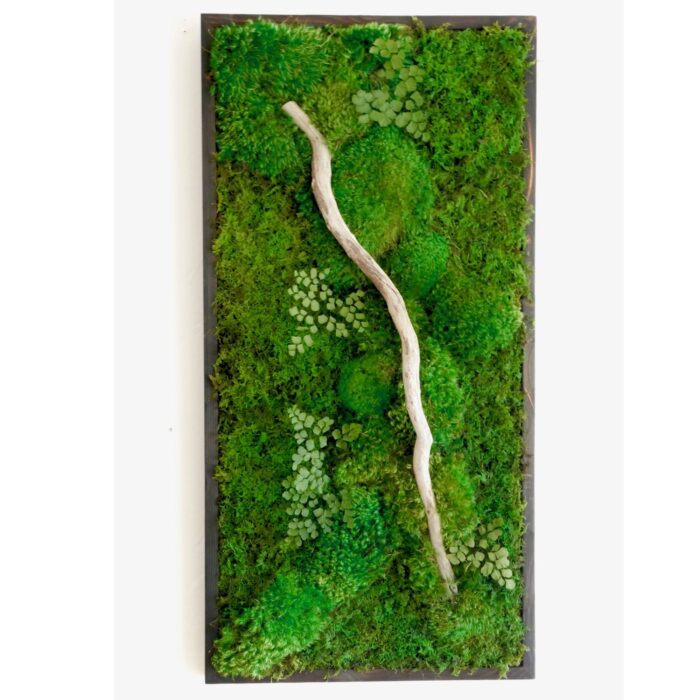 18x36 moss artwork with driftwood
