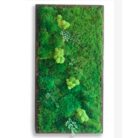 18x36 moss artwork, elegant and modern