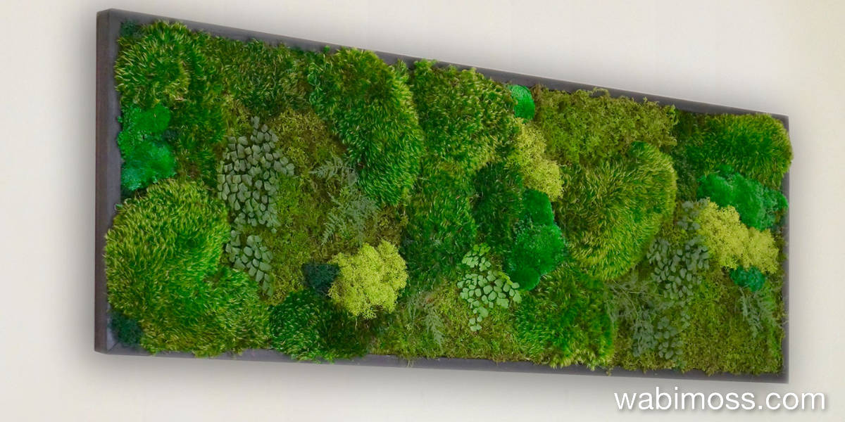 Custom moss art on a wall