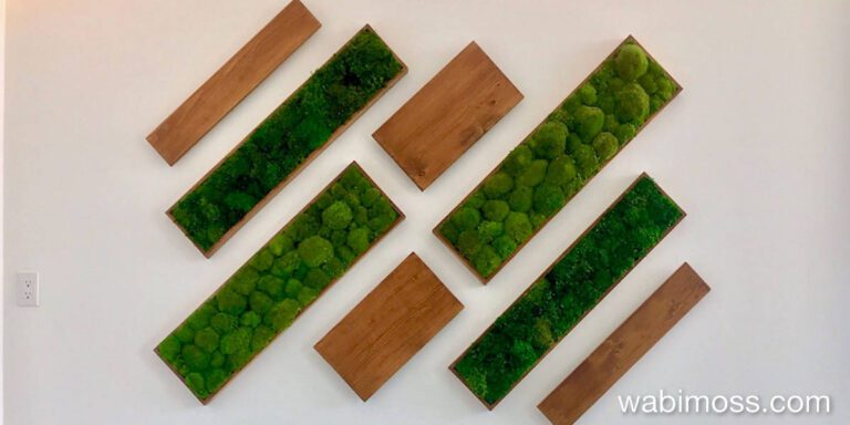Creative Geometric Moss Walls for Modern Interiors