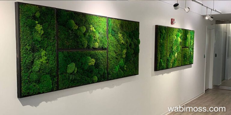 Large Format Moss Walls: Make a Bold Statement