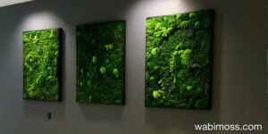 Lush moss wall art installation in modern office reception