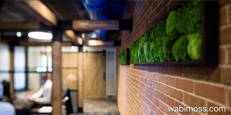 Bringing Nature Indoors: How Moss Walls Enhance Your Workspace