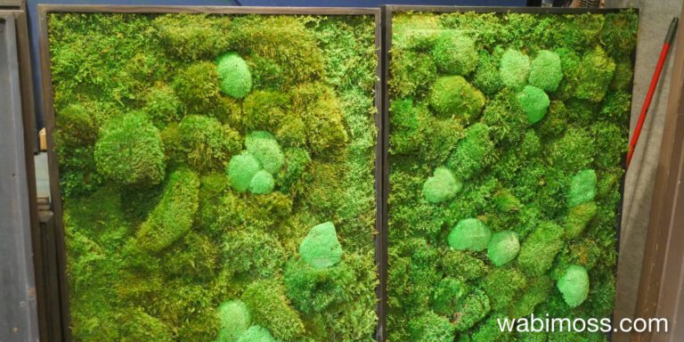 Transform Your Space with Lush Moss Wall Art