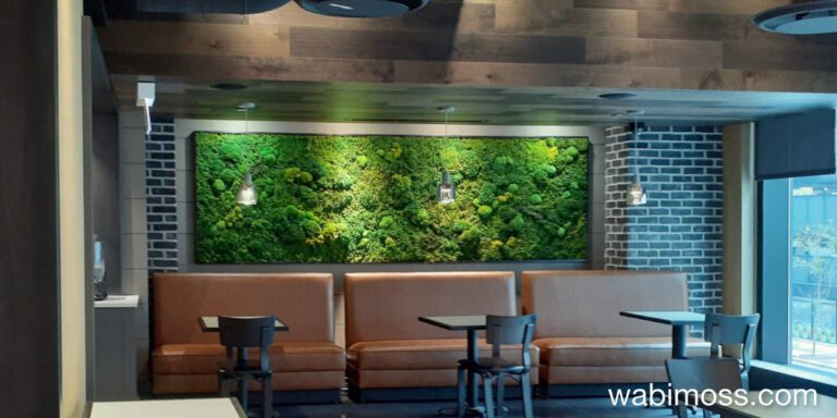 Acoustic Benefits of Moss Walls: Reduce Noise Naturally