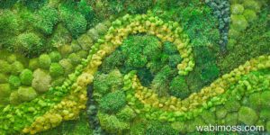 Curved moss wall panel in modern home living room