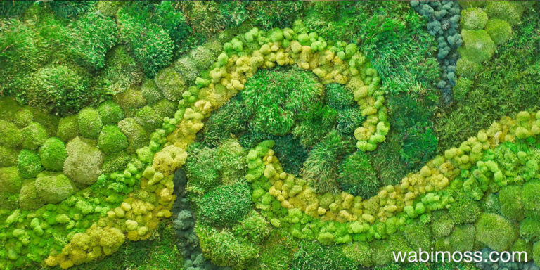 The artistic vision behind Wabimoss, Geri Riehl