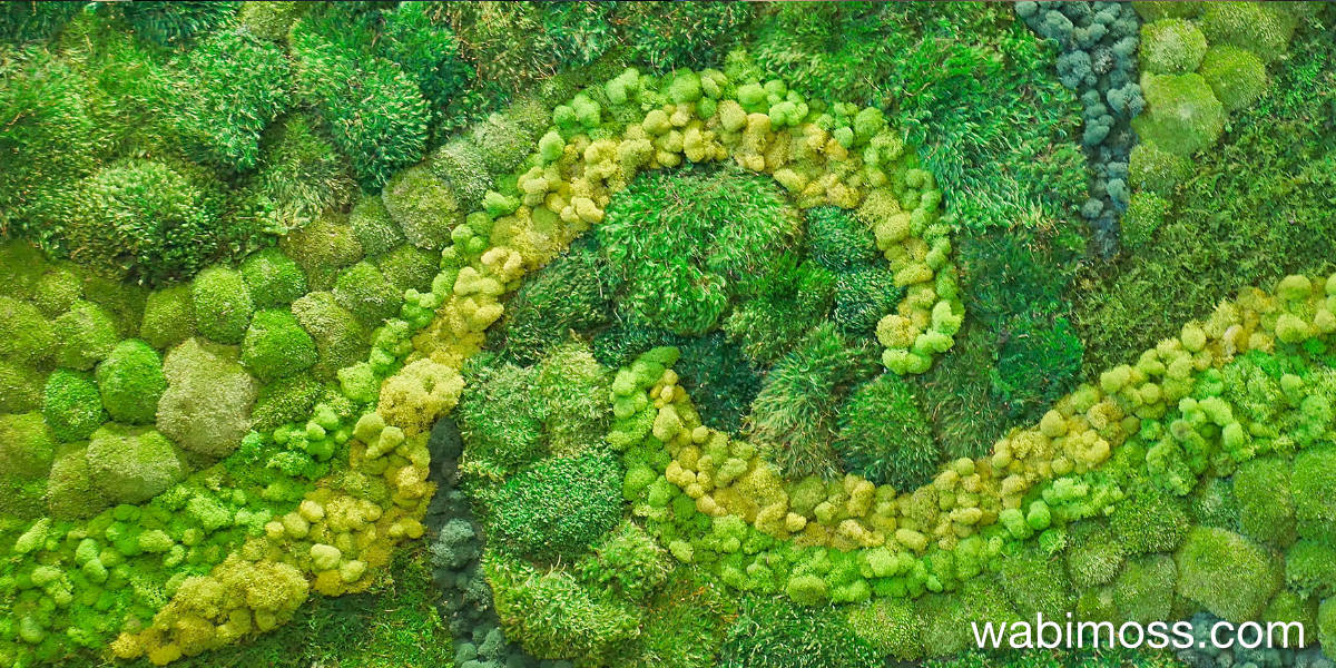 Curved moss wall panel in modern home living room