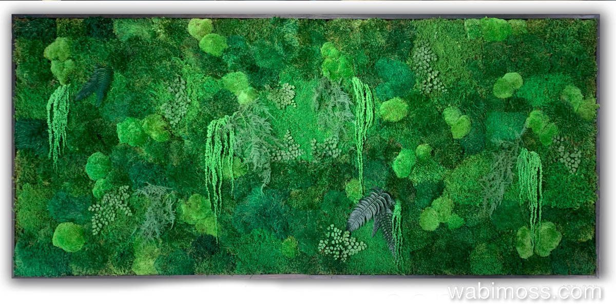 Large moss feature with hanging adianthum and ferns.