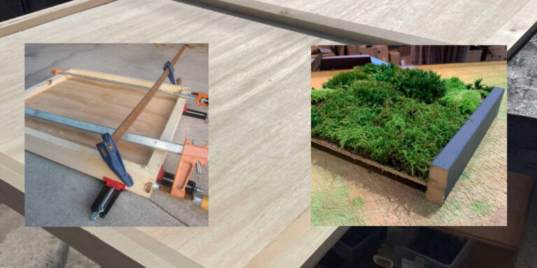 Why Is Moss Wall Art Expensive? Cost Breakdown Explained