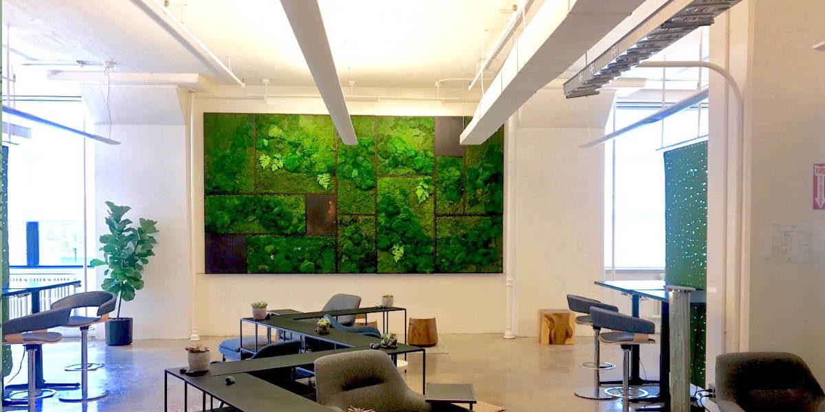 big moss wall in an office
