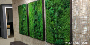 three moss artwork on a brown wall