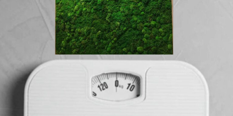 How Heavy Is Moss Wall Art? Weight & Installation Facts