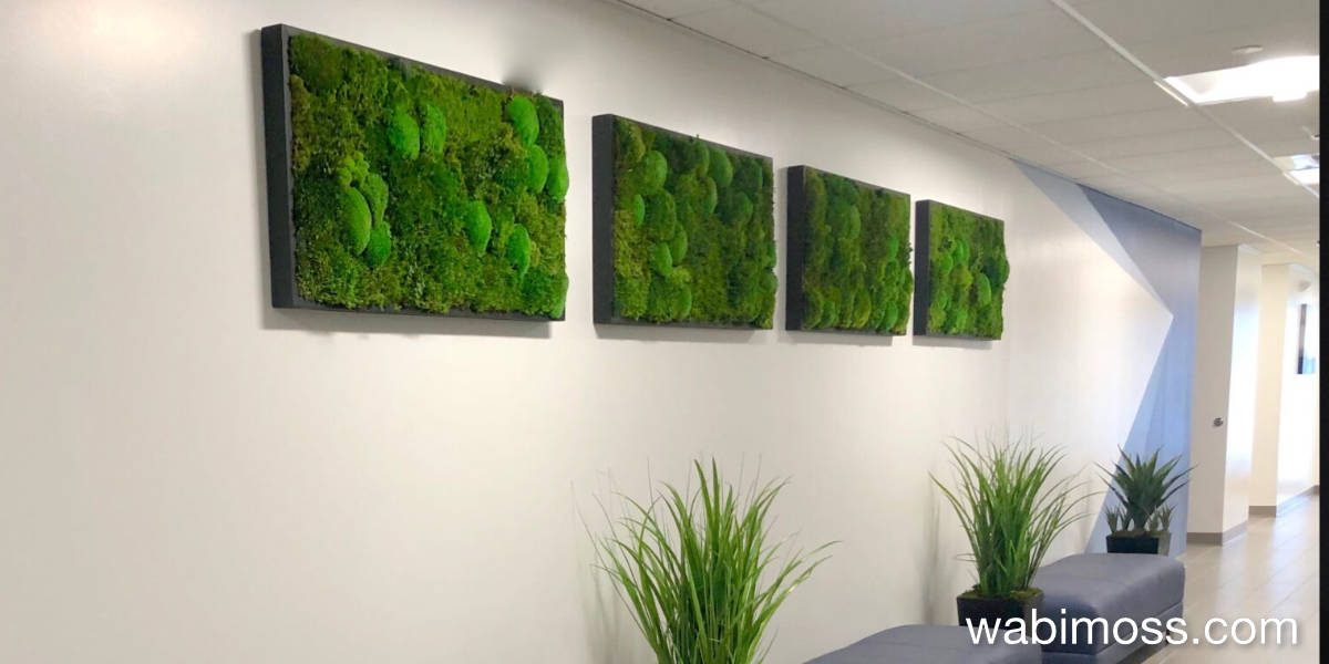 Four moss artwork in a hall way with some plants and benches.