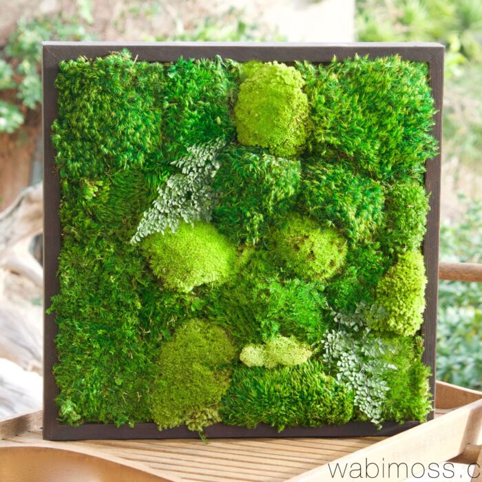 18X18 MOSS ARTWORK 18X18 MOSS ARTWORK