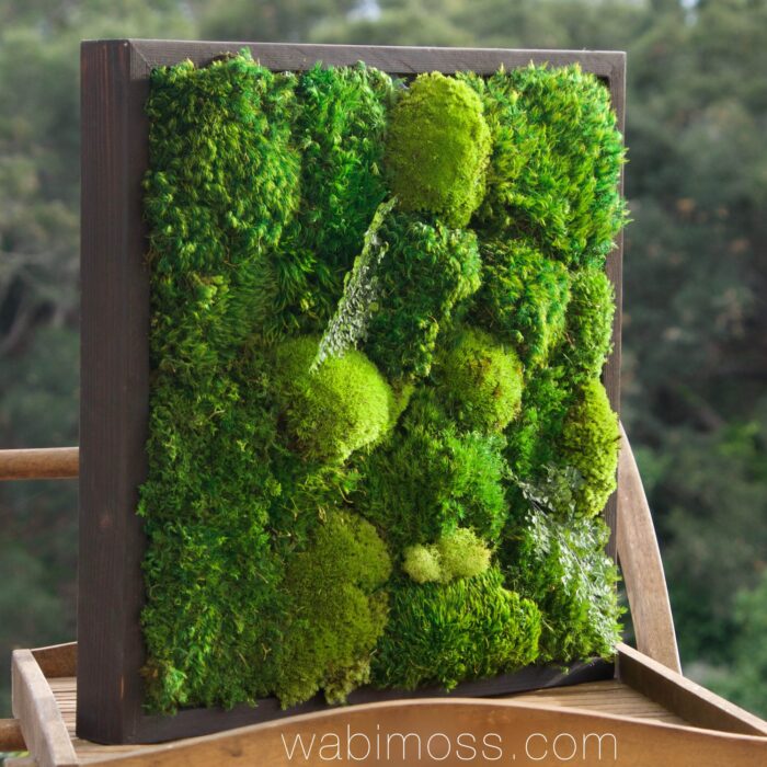18X18 MOSS ARTWORK 18X18 MOSS ARTWORK