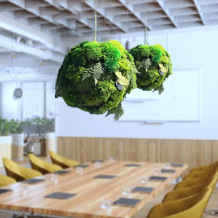 Hanging Moss Balls, Moss sphere