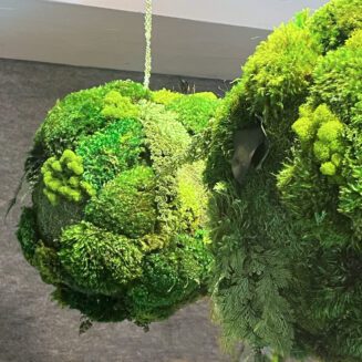 Hanging Moss ball, Hanging sphere, in board room or office