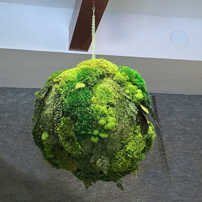 2000x2000 product images