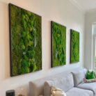Three 36x54 moss artwork