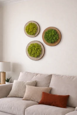 Three round preserved moss wood slice wall art pieces displayed above a green sofa in a modern living room