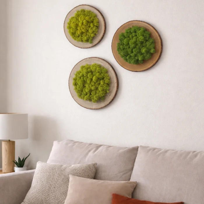 Three round preserved moss wood slice wall art pieces displayed above a green sofa in a modern living room