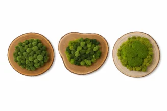 Set of three 12-inch round preserved moss wall art pieces on natural wood slices isolated on a white background