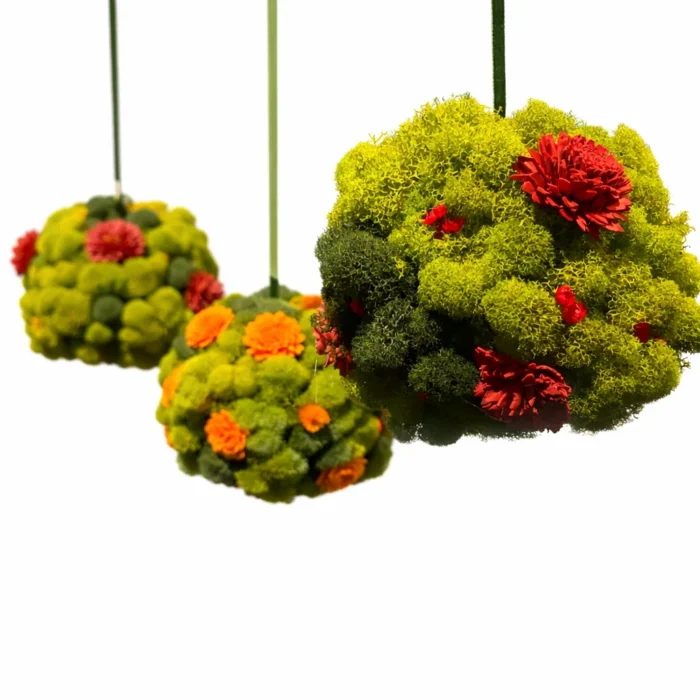 Close-up of three hanging preserved moss spheres with colorful flowers and textured reindeer moss
