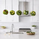 Five hanging moss spheres with preserved reindeer moss and flowers suspended from a mahogany rod above a modern kitchen island
