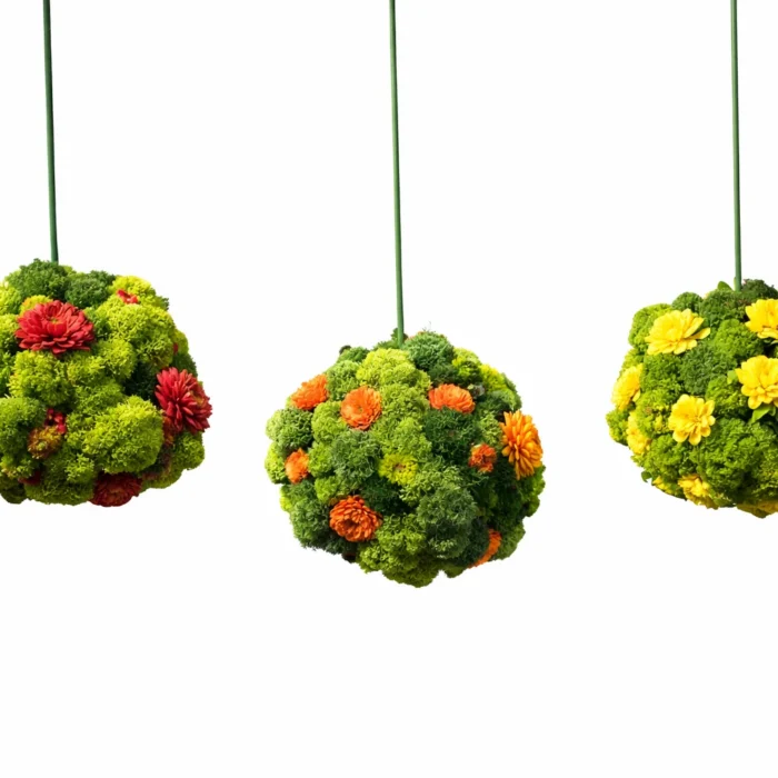 Three preserved moss spheres with multicolored flowers and reindeer moss on a white background